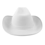 Cowboy Hat with Clean Lines